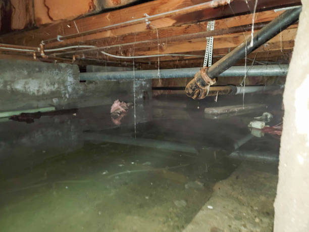 Best Flood damage cleanup  in Filer, ID