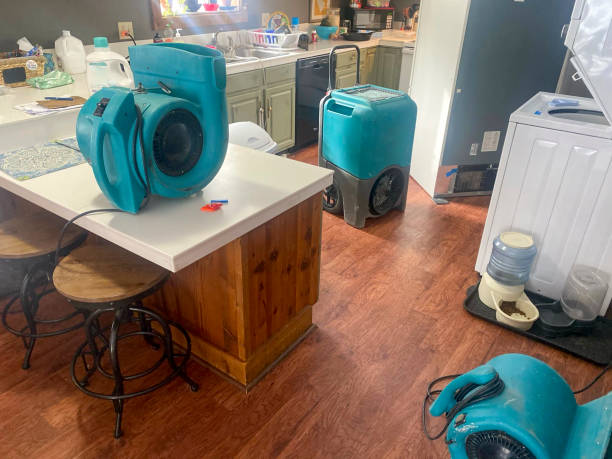 Carpet water damage restoration in ID