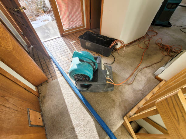 Best Water damage restoration cost  in Filer, ID