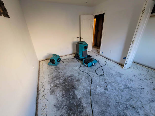 Best Carpet water damage restoration  in Filer, ID