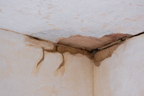 Best Sewage cleanup and water damage restoration  in Filer, ID
