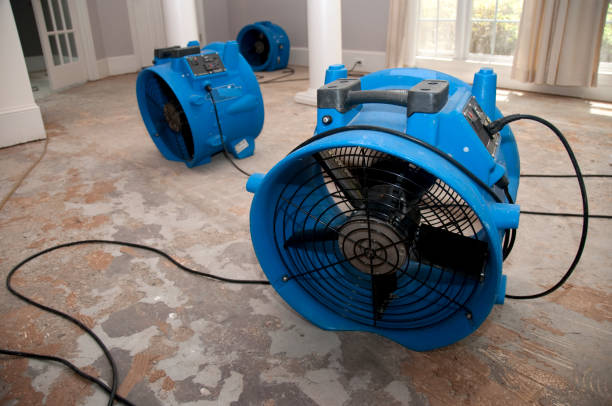 Best Carpet water damage restoration  in Filer, ID