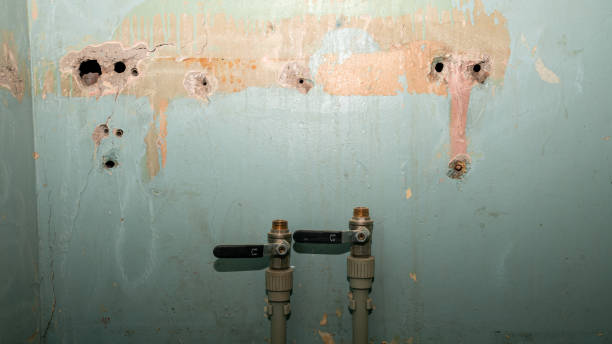 Best Mold removal after water damage  in Filer, ID
