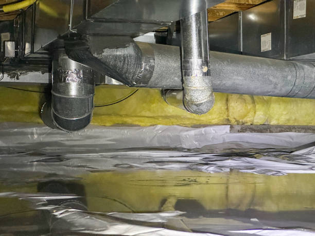 Best Professional water damage repair  in Filer, ID