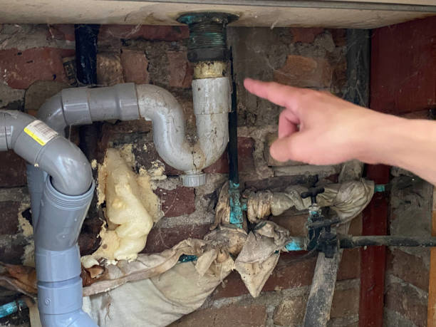 Best Carpet water damage restoration  in Filer, ID