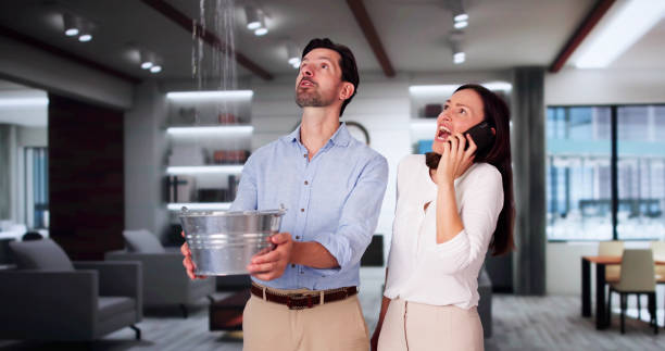 Best Flood damage cleanup  in Filer, ID