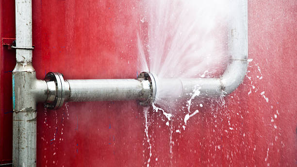 Best Water damage restoration near me  in Filer, ID